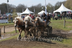 menwedstrijden Horst 203