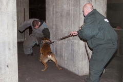 Oefening Politie Buggenum 115