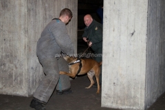 Oefening Politie Buggenum 117