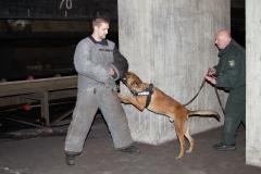 Oefening Politie Buggenum 119