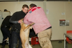 Oefening Politie Buggenum 164