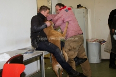 Oefening Politie Buggenum 166