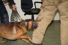 Oefening Politie Buggenum 185
