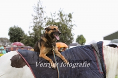 Provinciale Kampionswedstrijd PH1 Te Berg aan de Maas 697