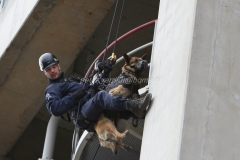 Oefening Politie Buggenum 037