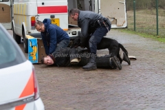 Oefening Politie Buggenum 067